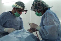 Гайк Бабаян