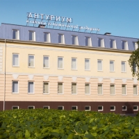 Клиника пластической хирургии Клиника пластической хирургии