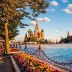 Какие операции были популярны этим летом