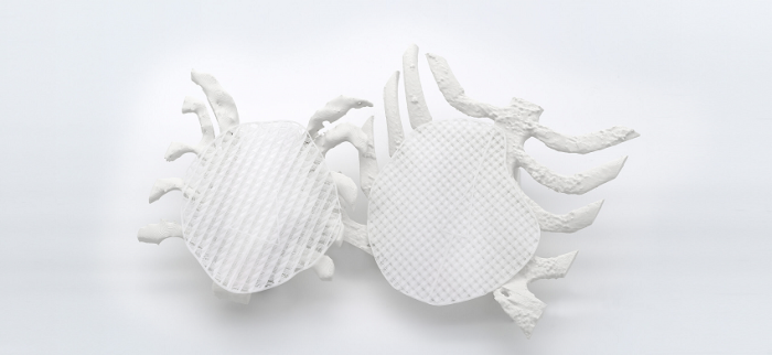 В 2021 году компания BellaSeno впервые опубликовала данные о своих имплантатах Senella Pectus