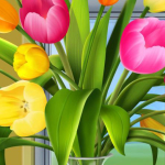 Ринопластика бесплатно