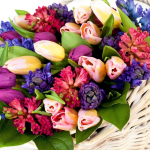 Дорогие женщины — пластические хирурги и наши читательницы! Сегодня ваш праздник — женский день, с которым мы от всей души рады вас поздравить!