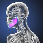 Пластические хирурги восстановили челюсть поборовшему рак влоггеру