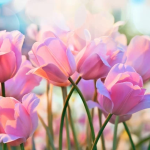 С Международным женским днем!