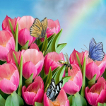 Поздравляем всех женщин с праздником 8 Марта!