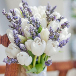 Поздравляем с 8 Марта!