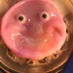 В Токио показали робота с человеческой кожей на лице	